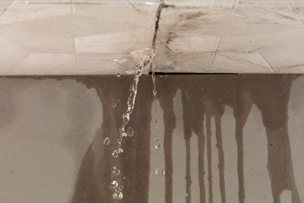Professional Sewage Cleanup technician working in Newcastle, WA